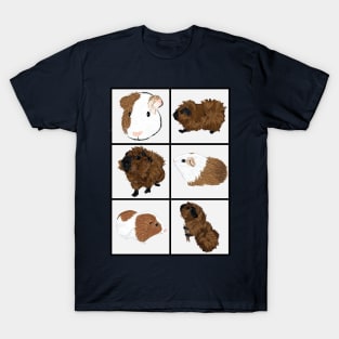 Guinea Pigs! I T-Shirt